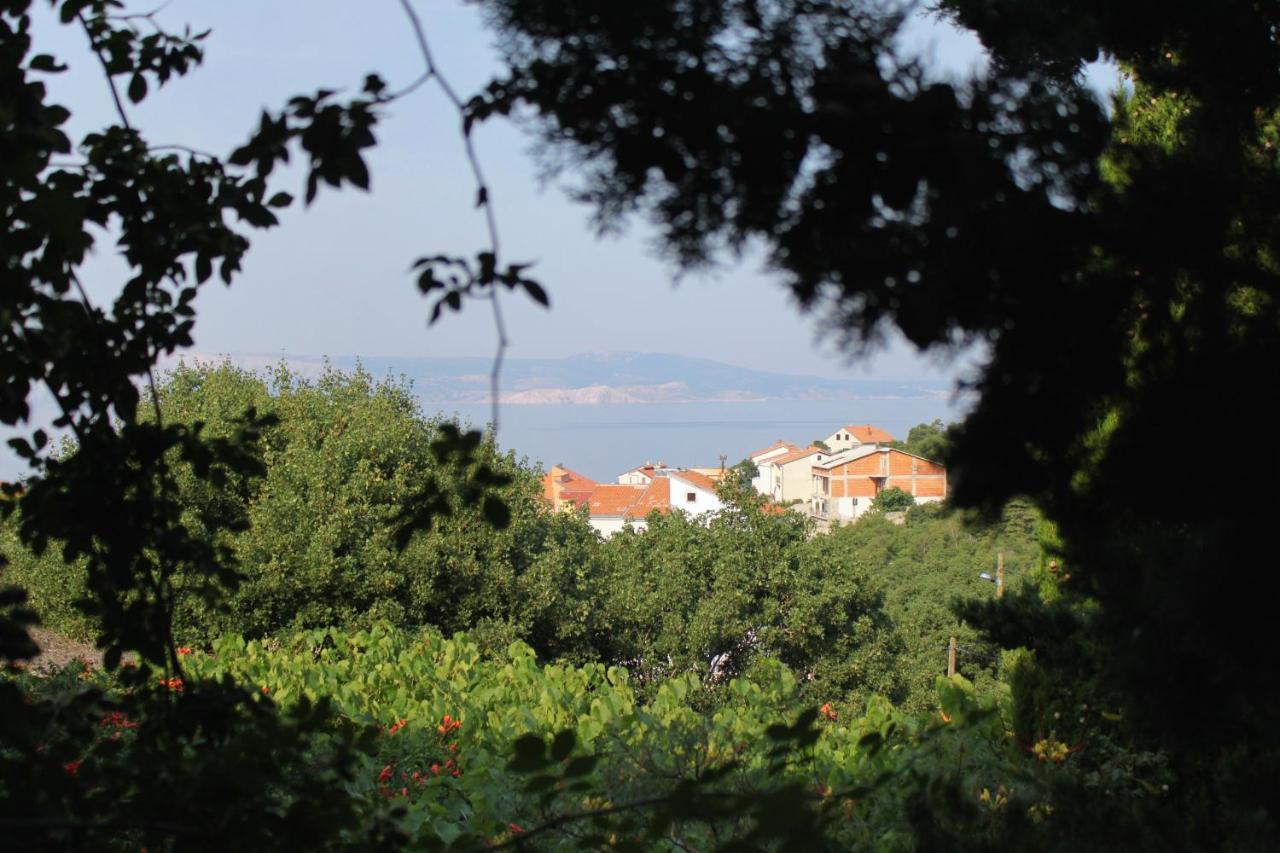 Apartments And Rooms With Parking Space Klenovica, Novi Vinodolski - 5590 Exterior foto